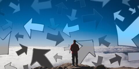 $250 National Online Study About Career Choices