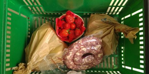 $175 National Online Study About Grocery Shopping Habits