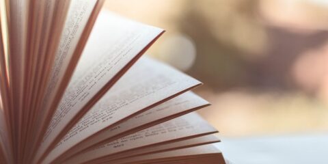 $125 National Online Focus Group About Popular Literature