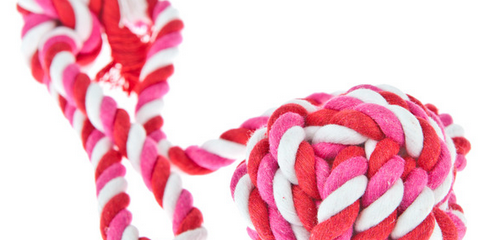 $150 National Online Study About Candy Ropes