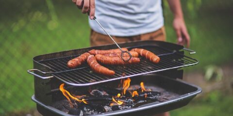 $100 National Online Study About Grilling