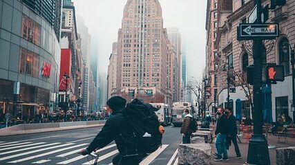 $150 Online Study About New York Life (NYC)