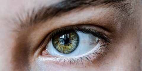 $175 National Online Study: Hair, Eyebrows & Eyelashes