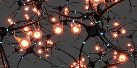 A bunch of lights that are on a tree