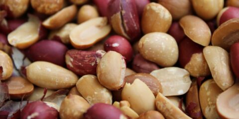 a pile of nuts